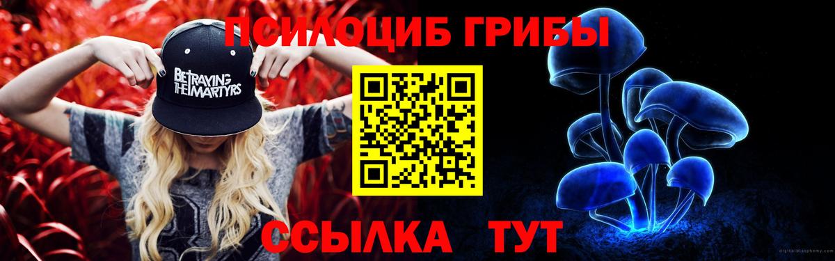 Луховицы  Галлюциногенные грибы прущие грибы  Вход с VPN  Псилоцибиновые грибы Psilocybine cubensis 